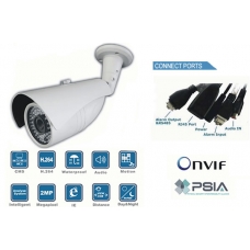 Mega-Pixel 2.0 CMOS Waterproof 6mm IP network bullet camera IR 30M PoE Onvif conformant